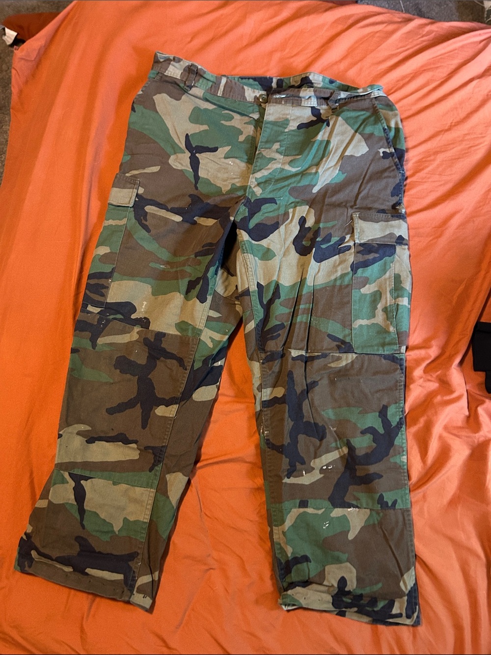 Men's Camo Cargo Pants - Green Woodland
